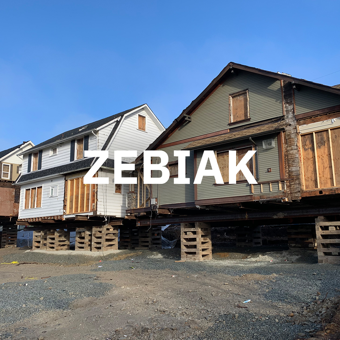 Zebiak Case Study